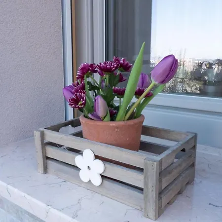 Sibi Bed and Breakfast 3*