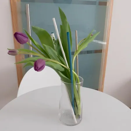 Bed & Breakfast Sibi