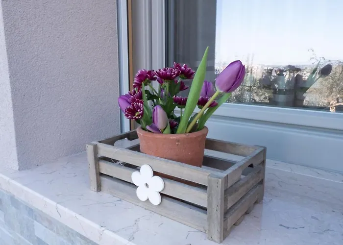 Sibi Oda ve Kahvaltı 3*