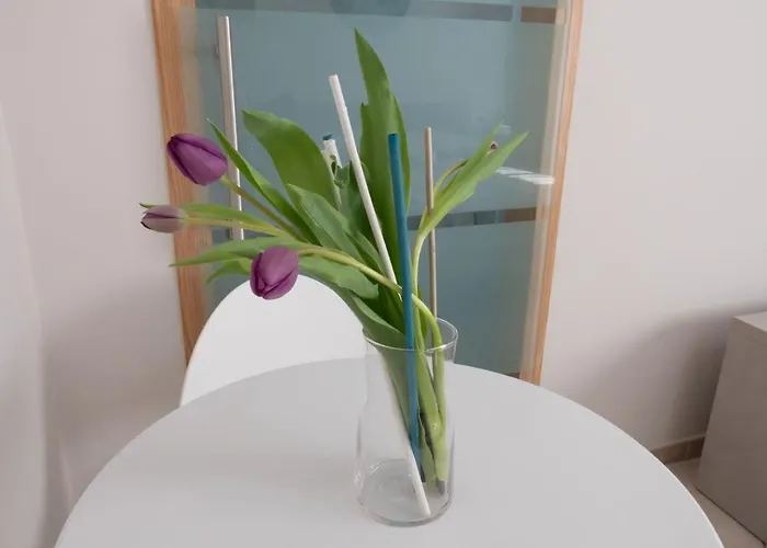 Oda ve Kahvaltı Sibi